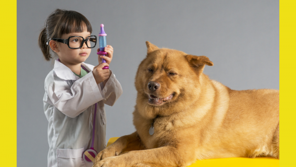 how do they test a dog for the flu