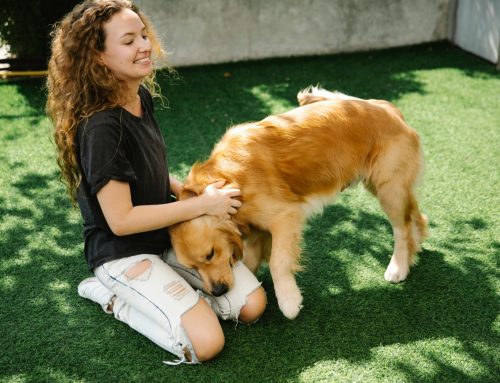 Top Questions to Ask at Your Next Vet Visit: A Complete Guide for Pet Parents